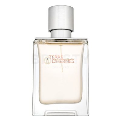 Hermès Terre d’Hermès Eau Givrée - Refillable Eau de Parfum férfiaknak 50 ml
