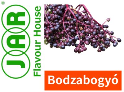 Bodzabogyó aroma JAR