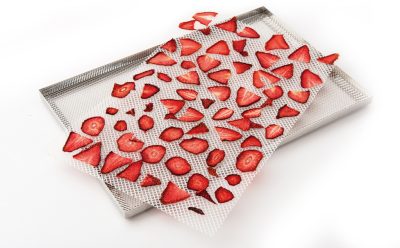 DrySilk Net hálós lap vékonyra szeletelt ételek szárításához, 5 db