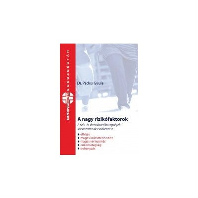 A NAGY RIZIKÓFAKTOROK