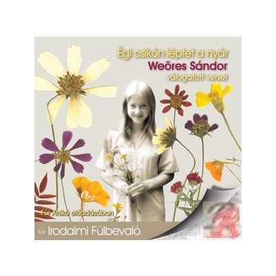 ÉGI CSIKÓN LÉPTET A NYÁR - hangoskönyv