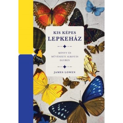 KIS KÉPES LEPKEHÁZ