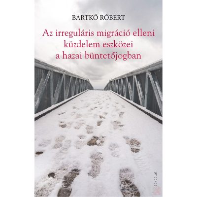 AZ IRREGULÁRIS MIGRÁCIÓ ELLENI KÜZDELEM ESZKÖZEI A HAZAI BÜNTETŐJOGBAN