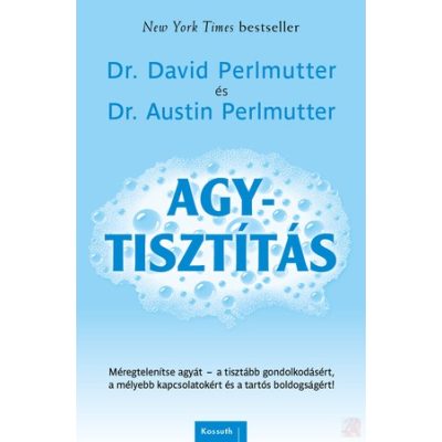 AGYTISZTÍTÁS