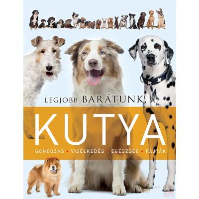 LEGJOBB BARÁTUNK, A KUTYA