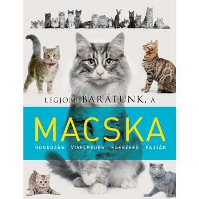 LEGJOBB BARÁTUNK, A MACSKA