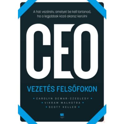 CEO - VEZETÉS FELSŐFOKON