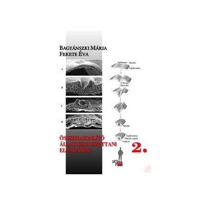 ÖSSZEHASONLÍTÓ ÁLLATSZERVEZETTANI ELŐADÁSOK 2.