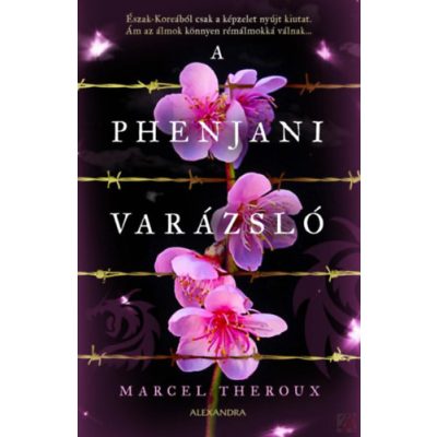 A PHENJANI VARÁZSLÓ