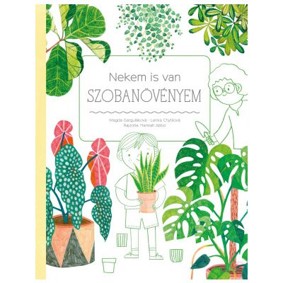NEKEM IS VAN SZOBANÖVÉNYEM