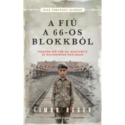 A FIÚ A 66-OS BLOKKBÓL