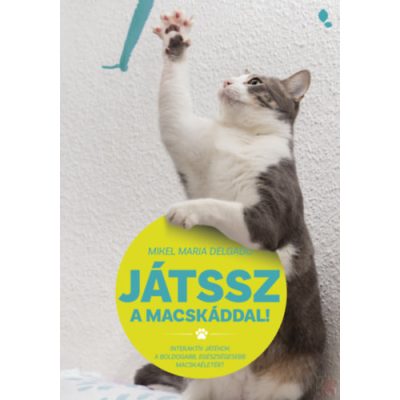 JÁTSSZ A MACSKÁDDAL!