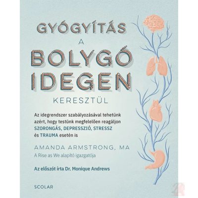 GYÓGYÍTÁS A BOLYGÓIDEGEN KERESZTÜL
