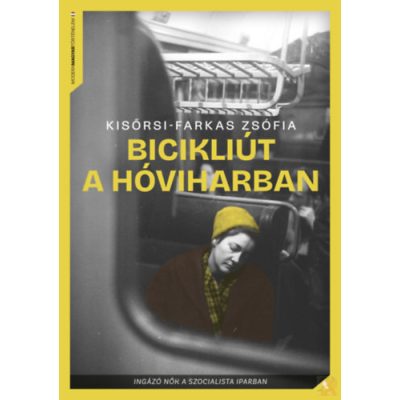 BICIKLIÚT A HÓVIHARBAN