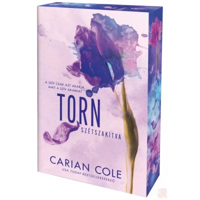TORN – SZÉTSZAKÍTVA (éldekorált kiadás)