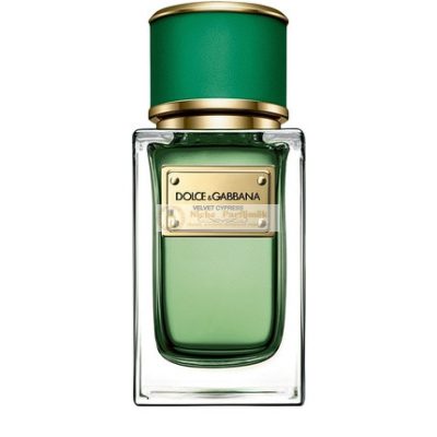 Dolce & Gabbana Velvet Cypress Eau de Parfum Spray, 50ml