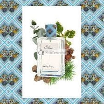 Eau de Parfum Spray, 100ml