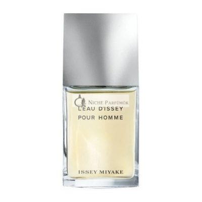L'eau d'Issey Pour Homme by Issey Miyake, 100ml Eau de Toilette