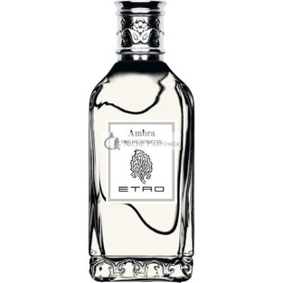 Etro Ambra Eau de Toilette, 100 ml