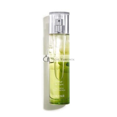 CAUDALIE Cau Corps Fleur De Vigne Eau F, 50ml