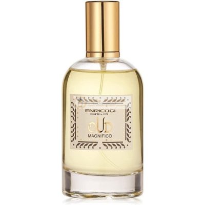 Enrico Gi Parfüm 100ml