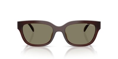 ARMANI EXCHANGE 0AX4155SU 837373 54 Napszemüveg