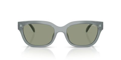 ARMANI EXCHANGE 0AX4155SU 8375/2 54 Napszemüveg