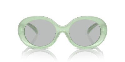 EMPORIO ARMANI 0EA4231U 615487 53 Napszemüveg