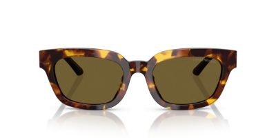 EMPORIO ARMANI 0EA4233U 618173 53 Napszemüveg