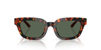 EMPORIO ARMANI 0EA4233U 618271 53 Napszemüveg