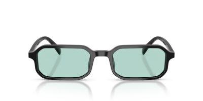 EMPORIO ARMANI 0EA4253U 501765 54 Napszemüveg