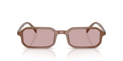 EMPORIO ARMANI 0EA4253U 627173 54 Napszemüveg