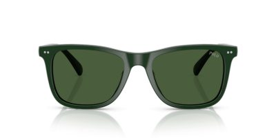 POLO 0PH4220U 614071 55 Napszemüveg