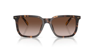 POLO 0PH4224U 500313 55 Napszemüveg