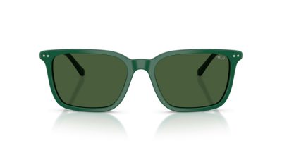 POLO 0PH4226 542171 56 Napszemüveg