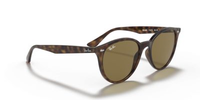 RAY-BAN 0RB4305 710/73 53 Napszemüveg