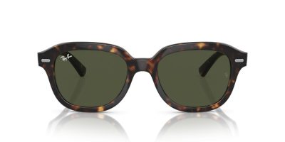 RAY-BAN ERIK 0RB4398 902/31 51 Napszemüveg