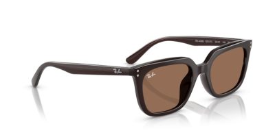 RAY-BAN 0RB4439D 623173 54 Napszemüveg