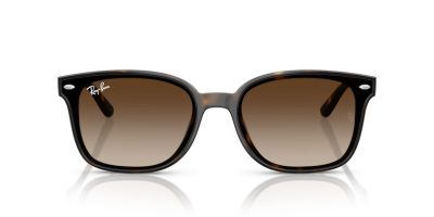RAY-BAN 0RB4461D 710/13 64 Napszemüveg