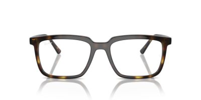 RAY-BAN VISTA ALAIN 0RX7239 2012 54 Szemüvegkeret