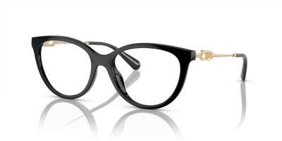 EMPORIO ARMANI 0EA4213U 50171W 53 Napszemüveg