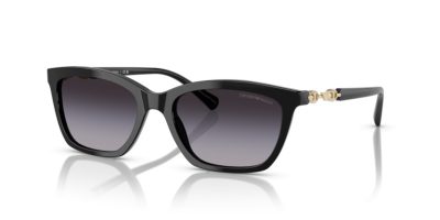 EMPORIO ARMANI 0EA4238 50178G 54 Napszemüveg