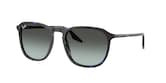 RAY-BAN 0RB2203 1430GK 55 Napszemüveg