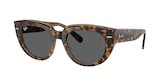 RAY-BAN DOREEN 0RB2286 1292B1 52 Napszemüveg