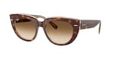 RAY-BAN DOREEN 0RB2286 1413S3 52 Napszemüveg