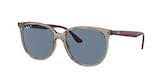 RAY-BAN 0RB4378 65722V 54 Napszemüveg