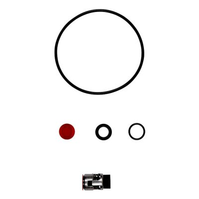 Kit, Shaft seal TP(D) 12mm BUBE