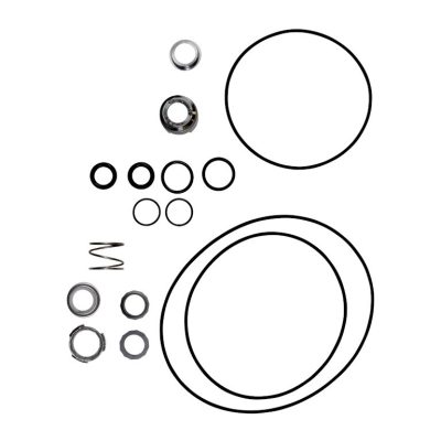 KIT, SHAFT SEAL LM/LP-NM/NPD22 RUUE/V