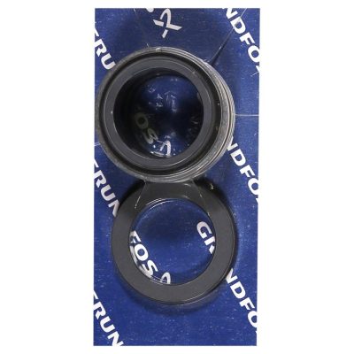 Shaft seal BQQV GG D38/spare