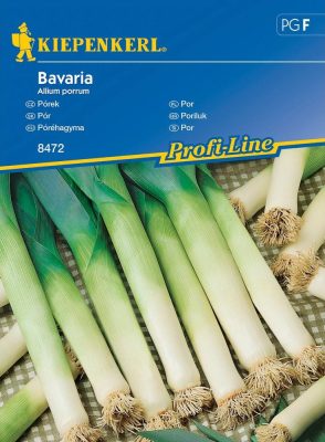 Póréhagyma Bavaria